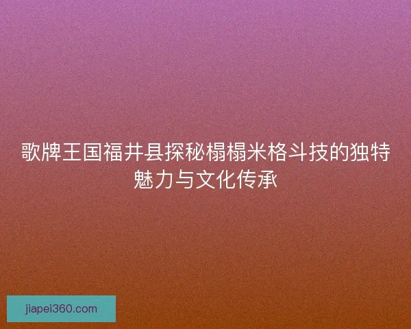歌牌王国福井县探秘榻榻米格斗技的独特魅力与文化传承