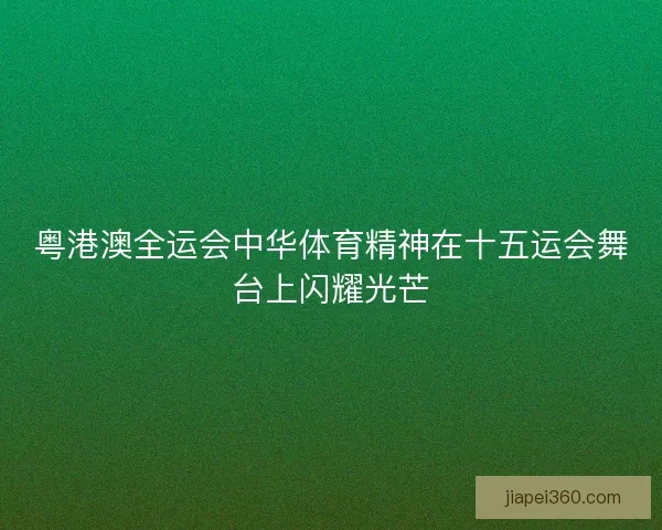粤港澳全运会中华体育精神在十五运会舞台上闪耀光芒